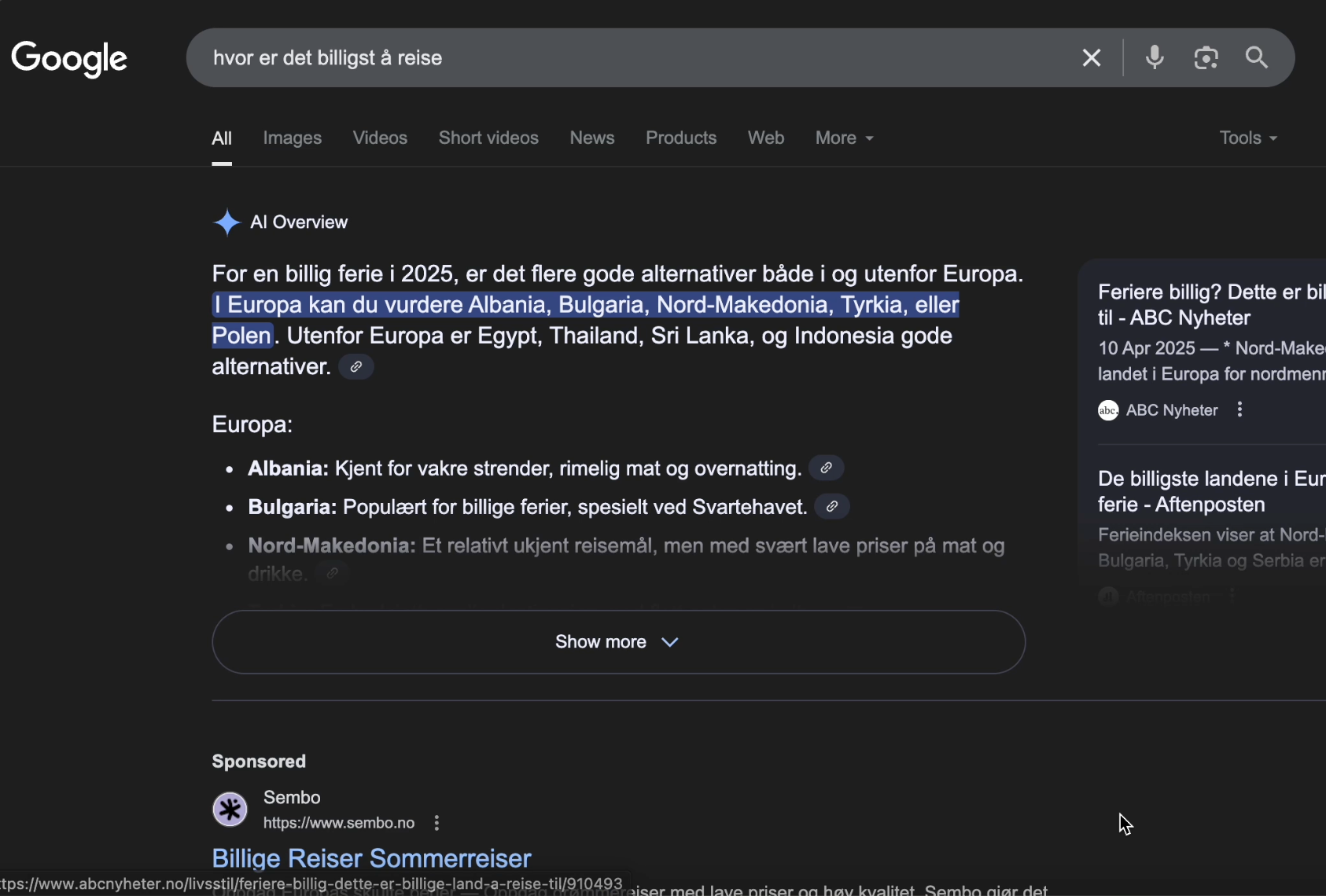Google AI Overview eksempel