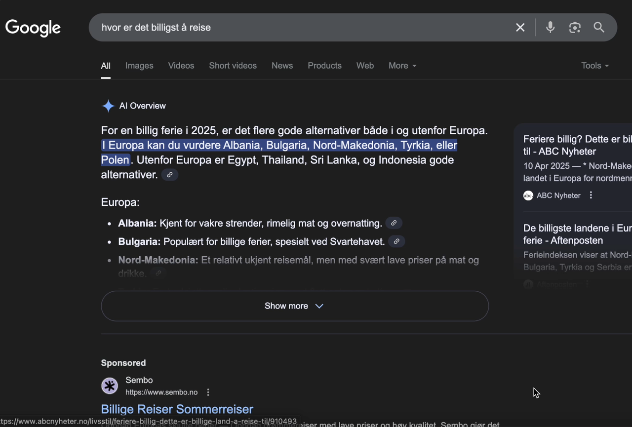 Google AI Overview eksempel